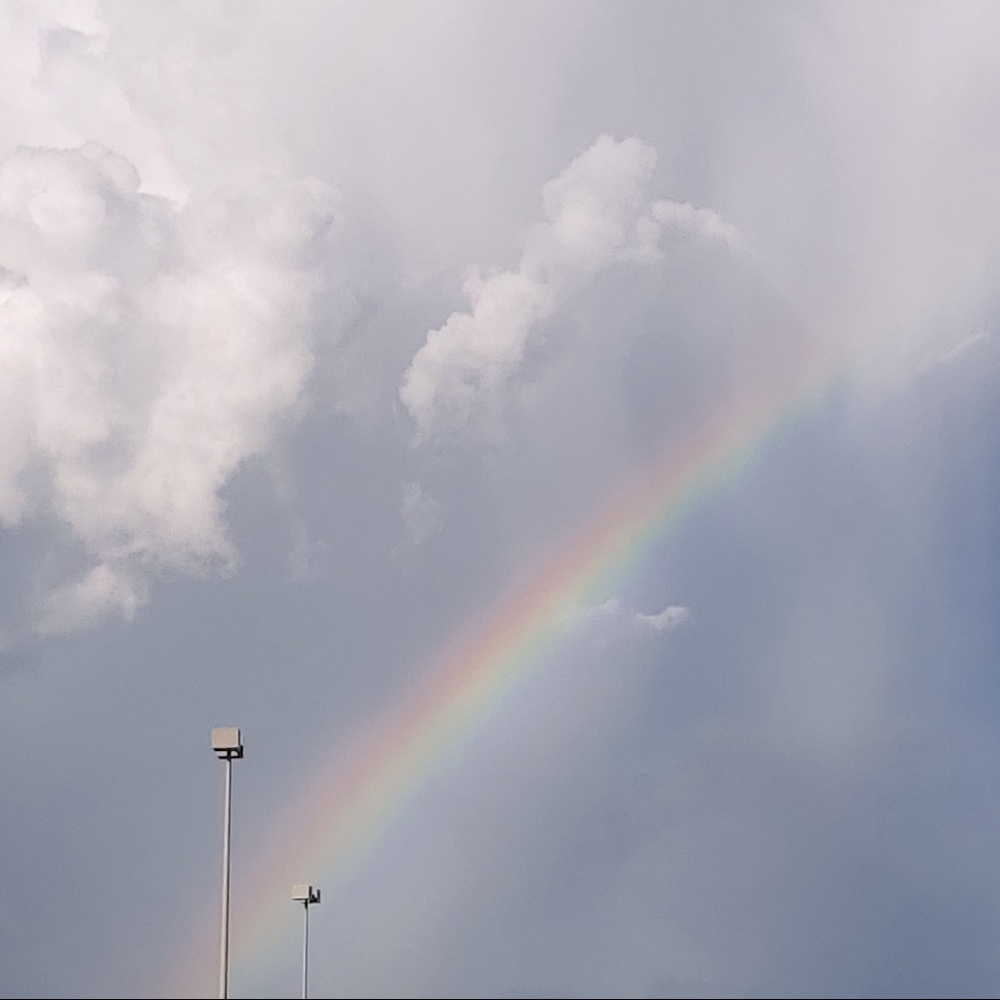 Meet your Posher, Ann